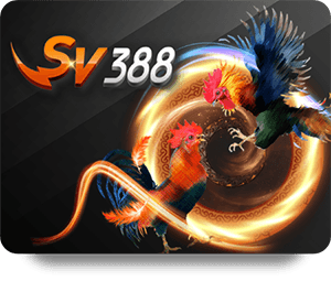 Top 5 Tips for New Players on 188BET Bet Online Platform